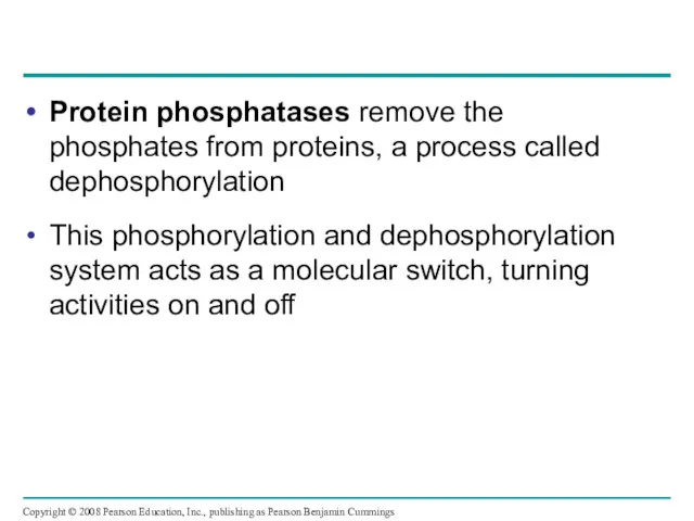 Protein phosphatases remove the phosphates from proteins, a process called dephosphorylation This phosphorylation
