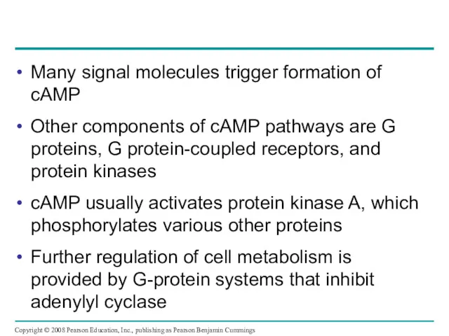 Many signal molecules trigger formation of cAMP Other components of cAMP pathways are