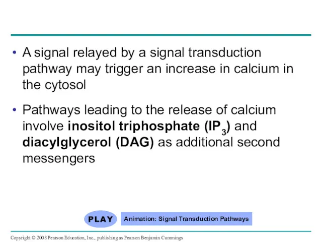 A signal relayed by a signal transduction pathway may trigger an increase in