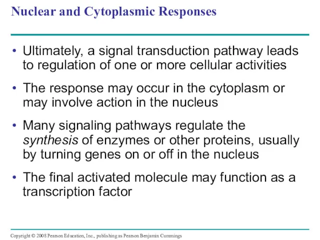 Nuclear and Cytoplasmic Responses Ultimately, a signal transduction pathway leads to regulation of