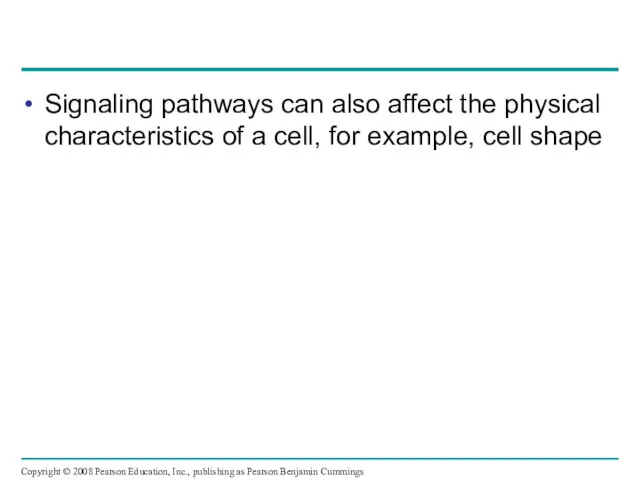Signaling pathways can also affect the physical characteristics of a cell, for example,