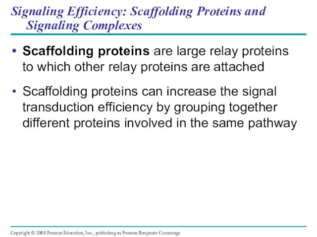 Signaling Efficiency: Scaffolding Proteins and Signaling Complexes Scaffolding proteins are large relay proteins