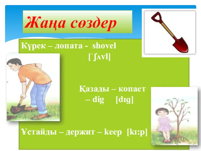 Жаңа сөздер Күрек – лопата - shovel [ˈʃʌvl] Қазады –