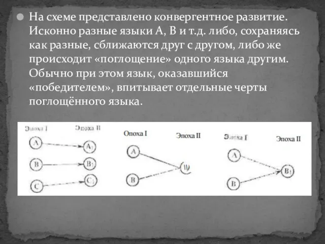 На схеме представлено конвергентное развитие. Исконно разные языки A, B