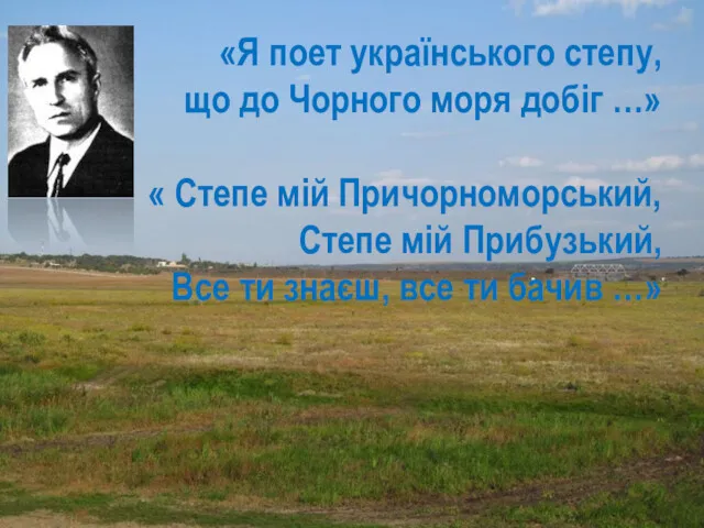 «Я поет українського степу, що до Чорного моря добіг …»