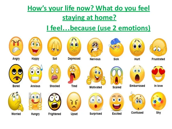 How’s your life now? What do you feel staying at home? I feel…because (use 2 emotions)