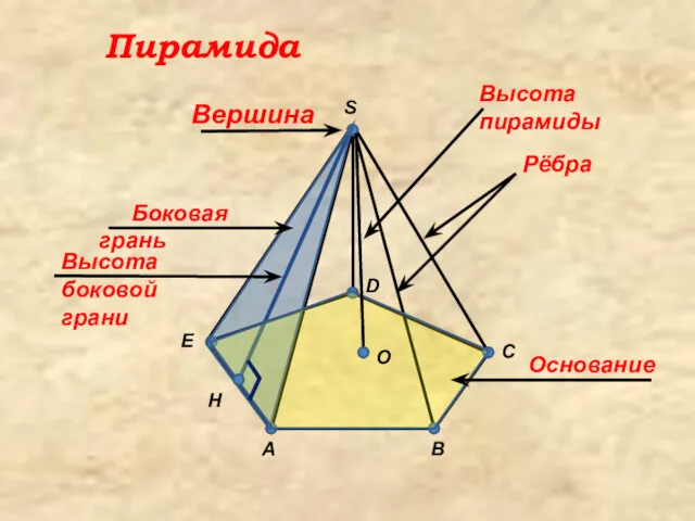 A C D E H B S Вершина Рёбра Основание O Высота пирамиды