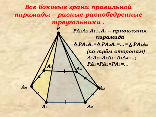 PA2A3=…= PA1A2= Все боковые грани правильной пирамиды – равные равнобедренные треугольники . A1