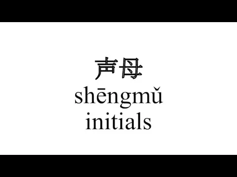 声母 shēngmǔ initials