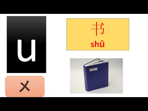 u 书 shū ㄨ