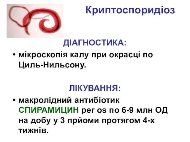 Криптоспоридіоз ДІАГНОСТИКА: мікроскопія калу при окрасці по Циль-Нильсону. ЛІКУВАННЯ: макролідний