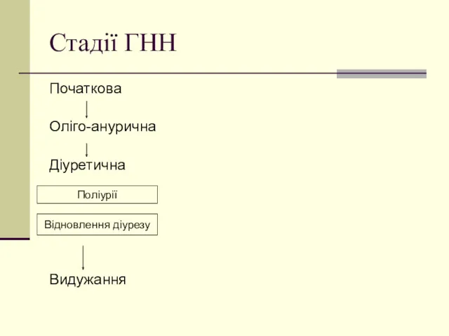 Стадії ГНН Початкова Оліго-анурична Діуретична Видужання Поліурії Відновлення діурезу