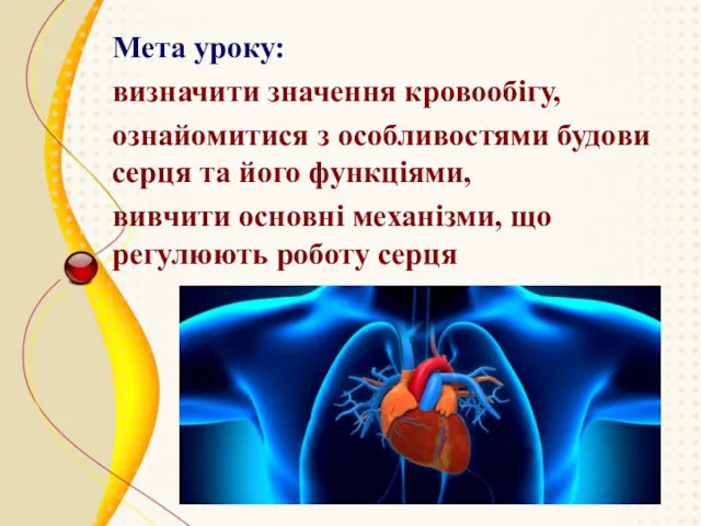 Мета уроку: визначити значення кровообігу, ознайомитися з особливостями будови серця