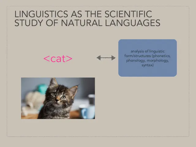 LINGUISTICS AS THE SCIENTIFIC STUDY OF NATURAL LANGUAGES analysis of linguistic form/structures (phonetics, phonology, morphology, syntax)