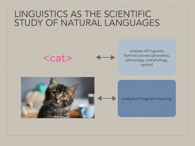 LINGUISTICS AS THE SCIENTIFIC STUDY OF NATURAL LANGUAGES analysis of