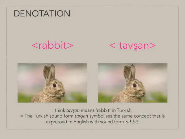 DENOTATION I think tavşan means ‘rabbit’ in Turkish. = The