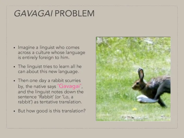 GAVAGAI PROBLEM Imagine a linguist who comes across a culture