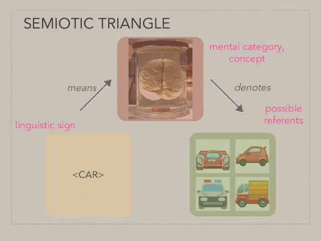 SEMIOTIC TRIANGLE mental category, concept linguistic sign means denotes possible referents