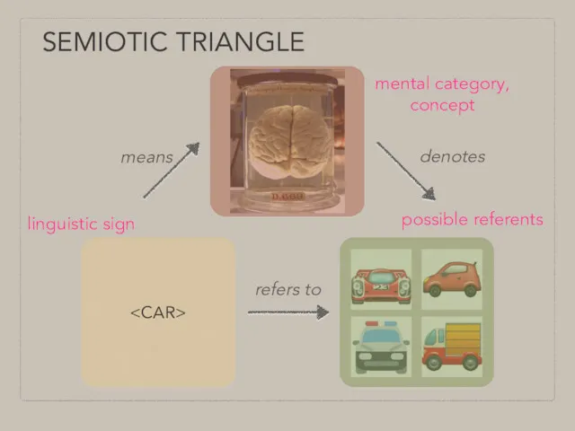 SEMIOTIC TRIANGLE mental category, concept linguistic sign means denotes possible referents refers to