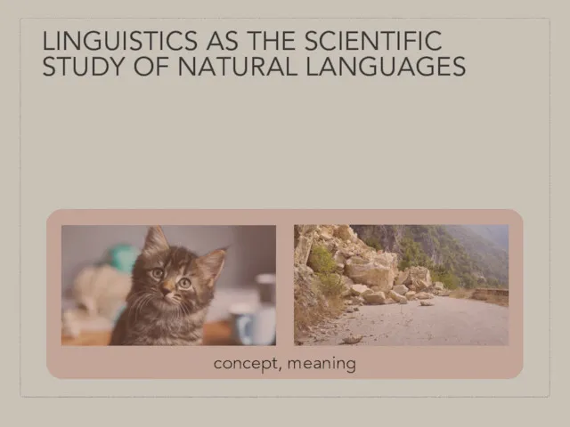 LINGUISTICS AS THE SCIENTIFIC STUDY OF NATURAL LANGUAGES concept, meaning