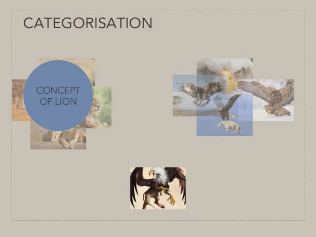 CATEGORISATION CONCEPT OF LION