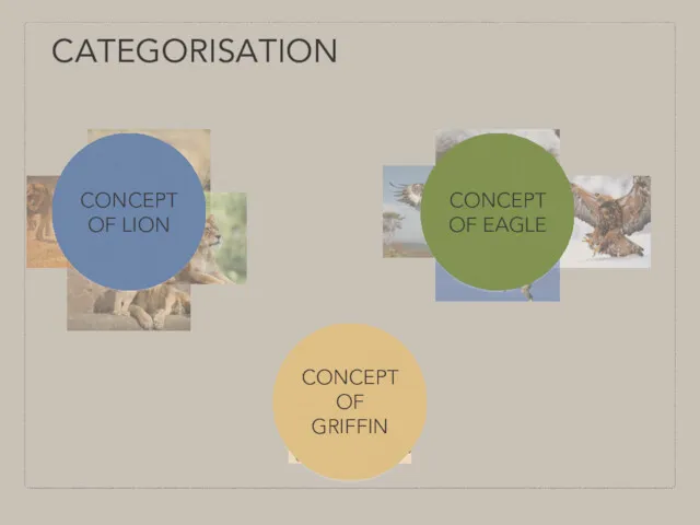 CATEGORISATION CONCEPT OF LION CONCEPT OF EAGLE CONCEPT OF GRIFFIN