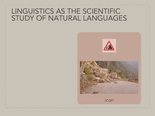 LINGUISTICS AS THE SCIENTIFIC STUDY OF NATURAL LANGUAGES icon