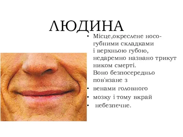 ЛЮДИНА Місце,окреслене носо-губними складками і верхньою губою,недаремно названо трикутником смерті.