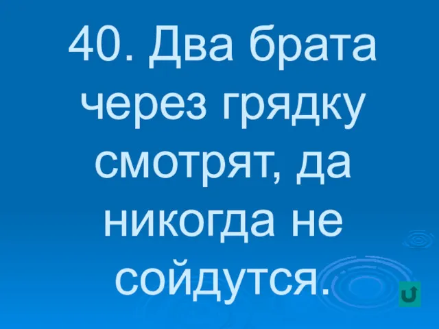 40. Два брата через грядку смотрят, да никогда не сойдутся.