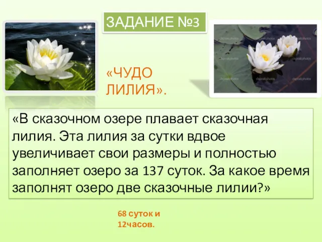 «В сказочном озере плавает сказочная лилия. Эта лилия за сутки