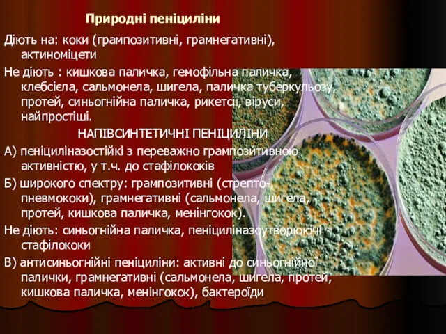 Природні пеніциліни Діють на: коки (грампозитивні, грамнегативні), актиноміцети Не діють : кишкова паличка,