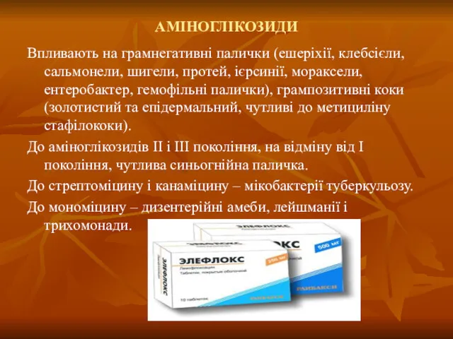 АМІНОГЛІКОЗИДИ Впливають на грамнегативні палички (ешеріхії, клебсієли, сальмонели, шигели, протей, ієрсинії, мораксели, ентеробактер,