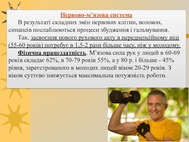 Нервово-м’язова система В результаті складних змін нервових клітин, волокон, синапсів