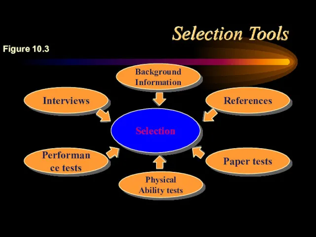 Selection Tools Background Information Interviews References Paper tests Physical Ability tests Performance tests Selection Figure 10.3