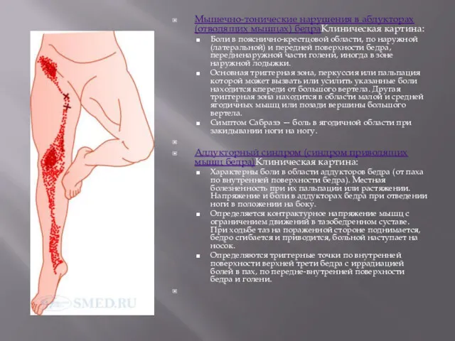 Мышечно-тонические нарушения в абдукторах (отводящих мышцах) бедраКлиническая картина: Боли в