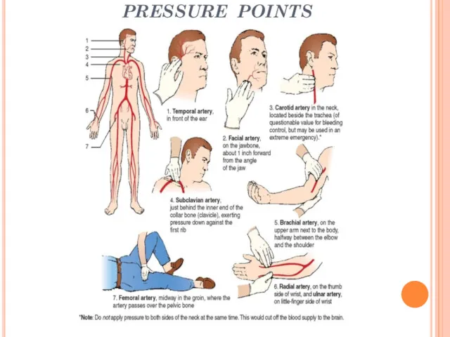 PRESSURE POINTS