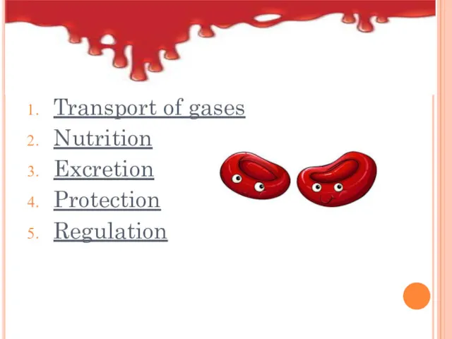 Transport of gases Nutrition Excretion Protection Regulation