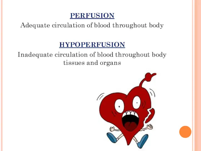 PERFUSION Adequate circulation of blood throughout body HYPOPERFUSION Inadequate circulation