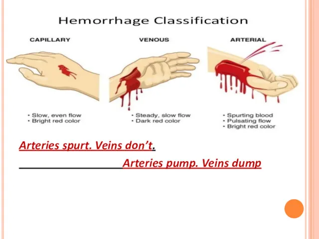 Arteries spurt. Veins don’t. Arteries pump. Veins dump