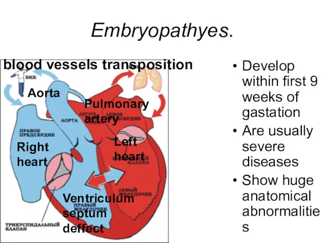 Embryopathyes. Develop within first 9 weeks of gastation Are usually
