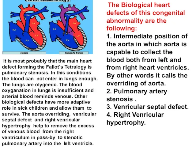 The Biological heart defects of this congenital abnormality are the