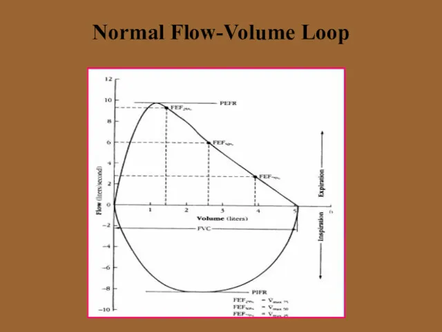 Normal Flow-Volume Loop