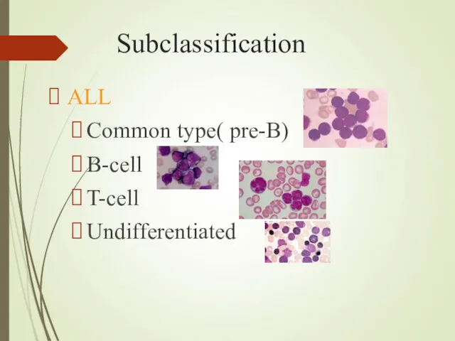 Subclassification ALL Common type( pre-B) B-cell T-cell Undifferentiated