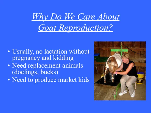 Why Do We Care About Goat Reproduction? Usually, no lactation without pregnancy and