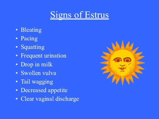 Signs of Estrus Bleating Pacing Squatting Frequent urination Drop in milk Swollen vulva