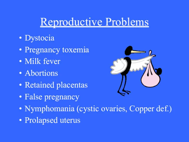 Reproductive Problems Dystocia Pregnancy toxemia Milk fever Abortions Retained placentas False pregnancy Nymphomania