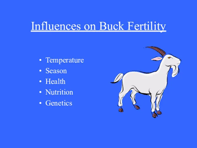 Influences on Buck Fertility Temperature Season Health Nutrition Genetics