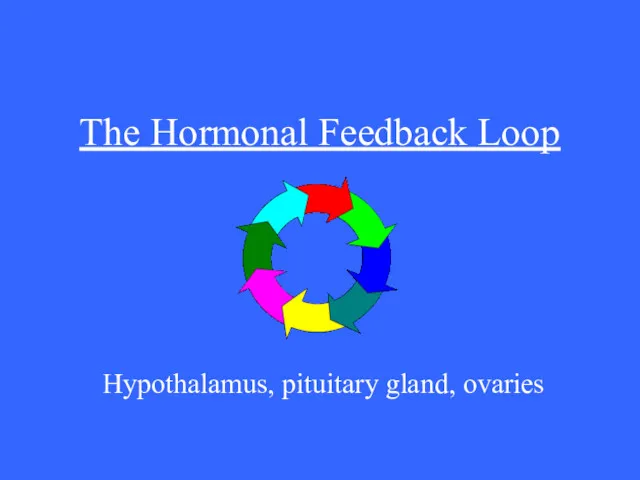 The Hormonal Feedback Loop Hypothalamus, pituitary gland, ovaries