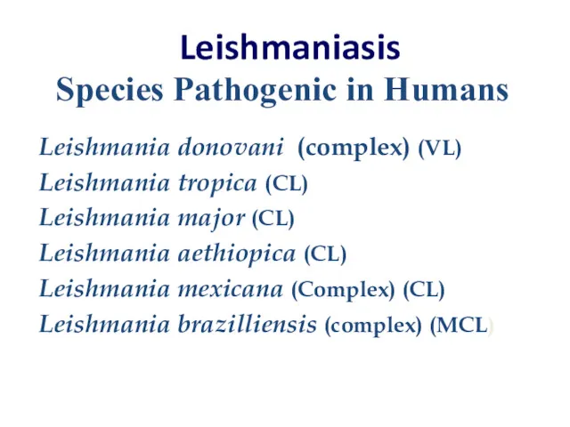 Leishmaniasis Leishmania donovani (complex) (VL) Leishmania tropica (CL) Leishmania major