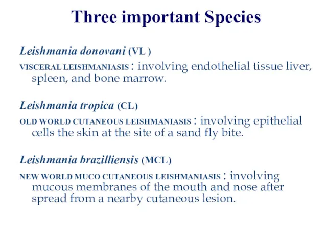 Three important Species Leishmania donovani (VL ) VISCERAL LEISHMANIASIS :